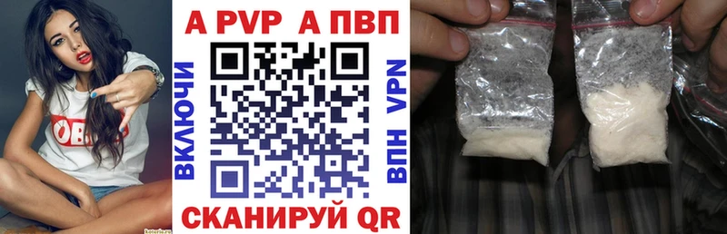 закладки Выборг APVP СК