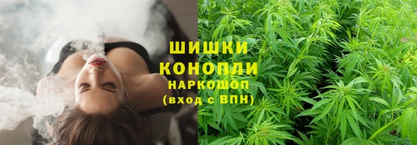 наркотики Белокуриха