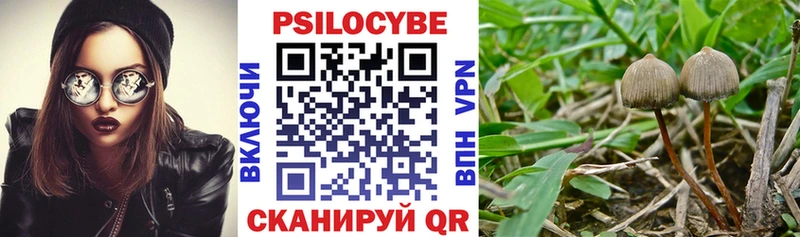 Псилоцибиновые грибы прущие грибы Выборг